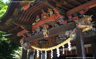日本の夏　水無月の秩父神社 Scene3