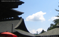日本の夏　水無月の秩父神社 Scene12